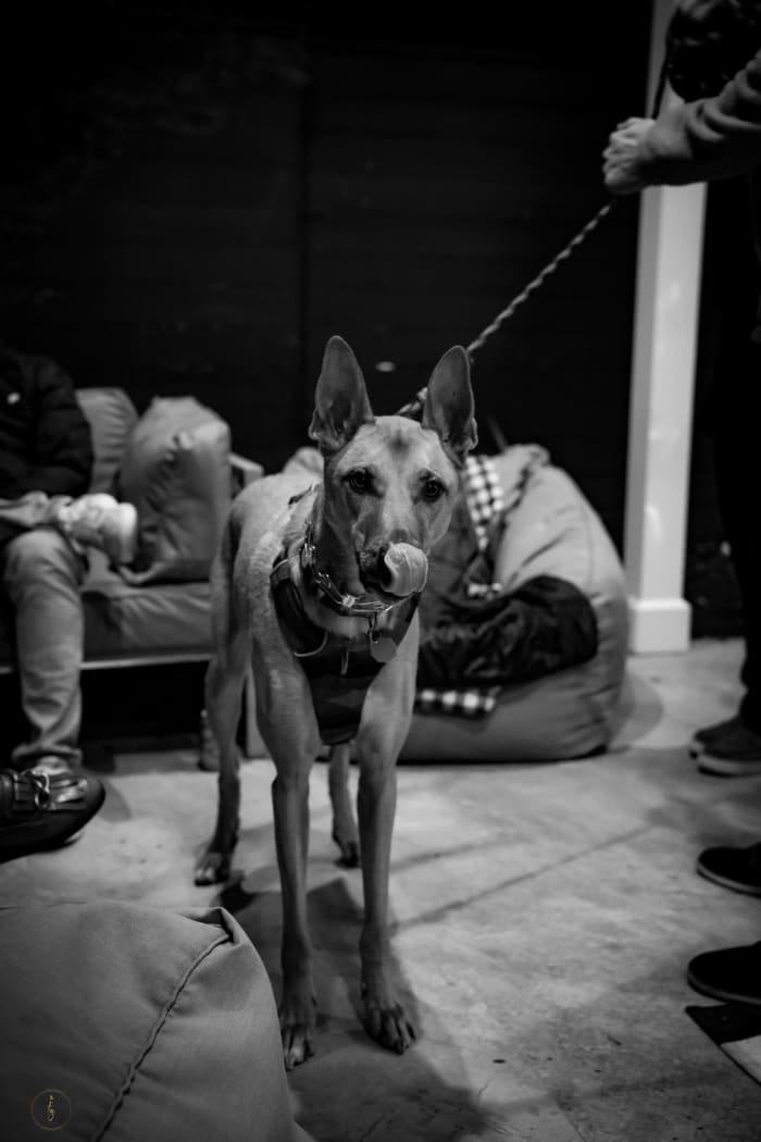 20251212 Dsc00270 91aff259