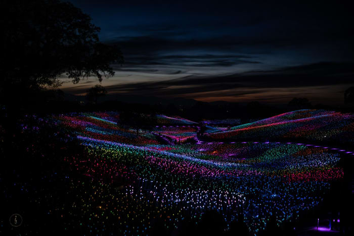 20251126 Dsc03297 6c6d86bf