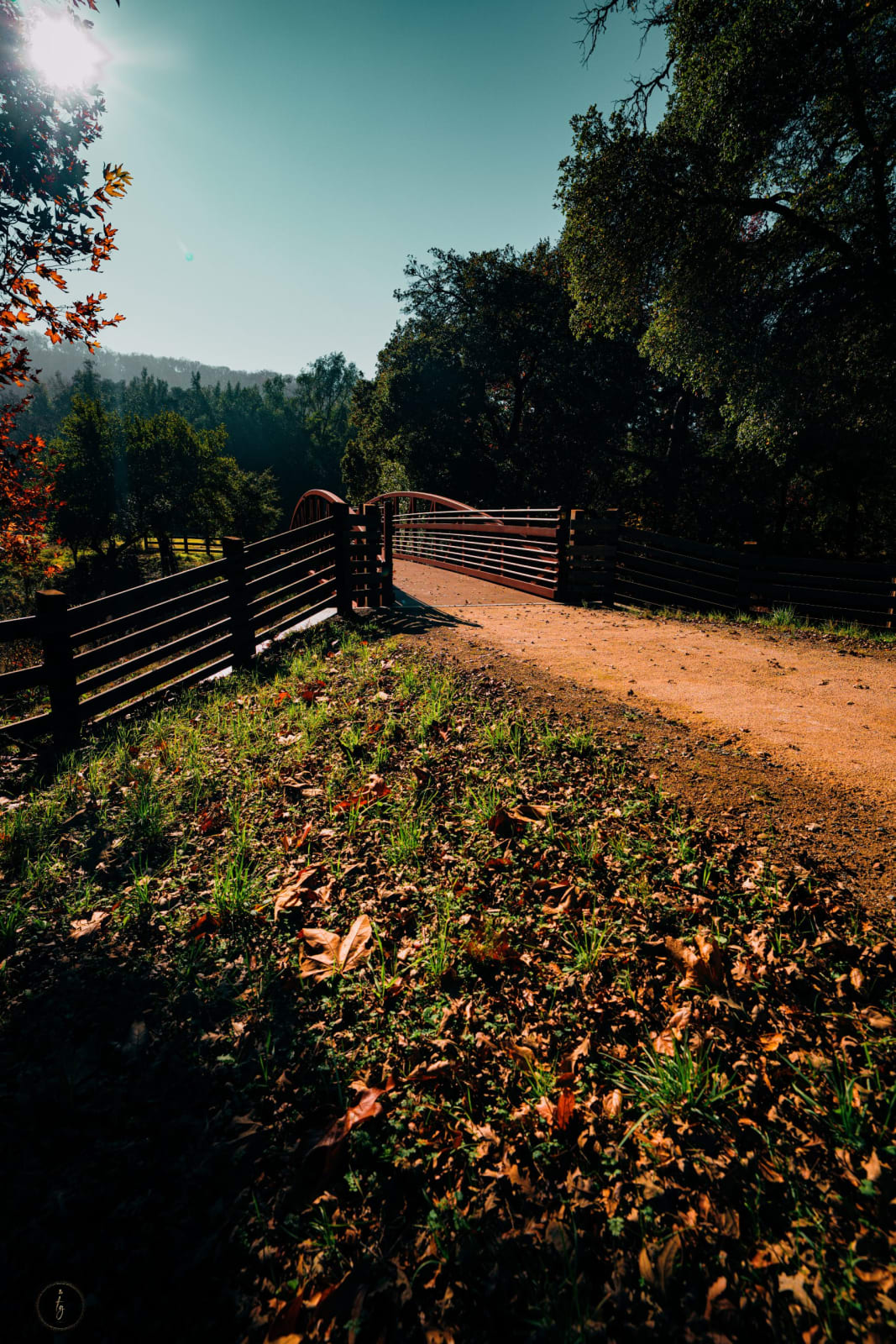 20251214 Dsc00378 F407ea75