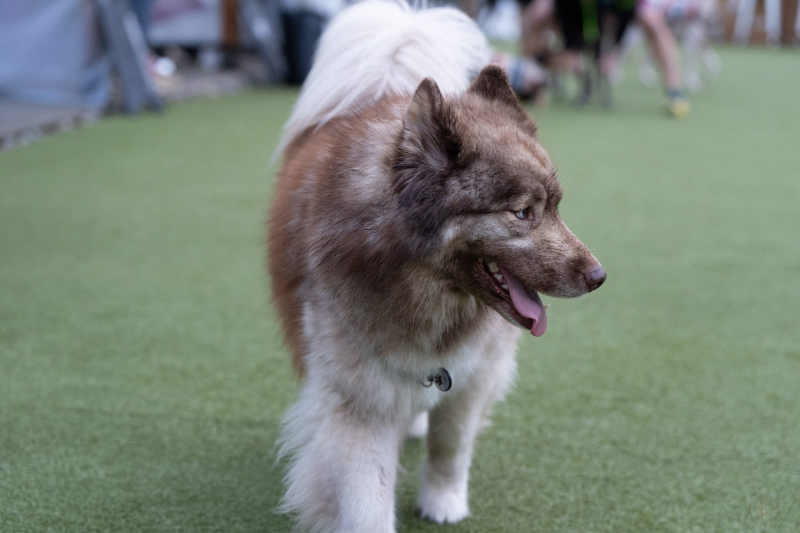 20260130 Dsc02264 3a80f8de