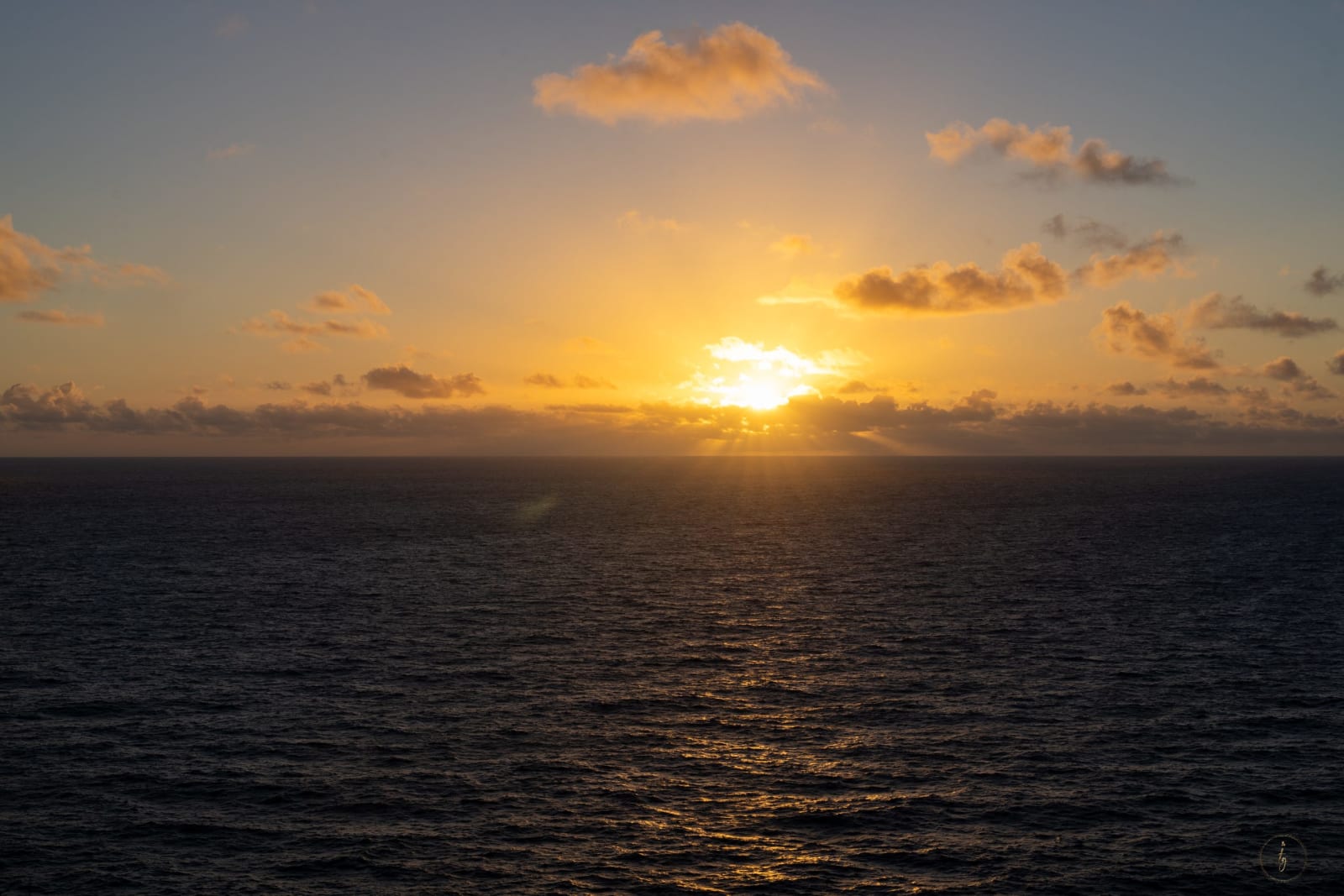 20260411 Dsc02497 3a5f1b13