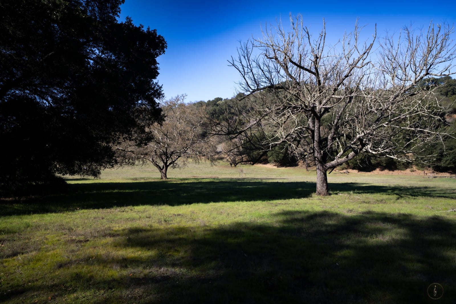 20251214 Dsc00363 C697dcf9