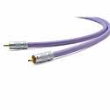 Oyaide PA-02 TR Audio Cable - Analog