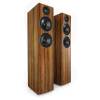 Acoustic Energy AE109 floorstanding speaker