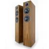 Acoustic Energy AE309 floorstanding speaker