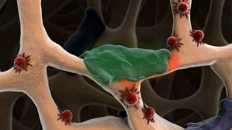 Stromectol bez receptu Stromectol bez receptu
