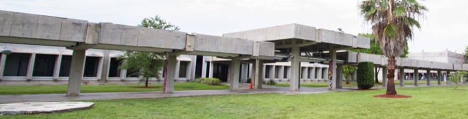 carlos albizu university