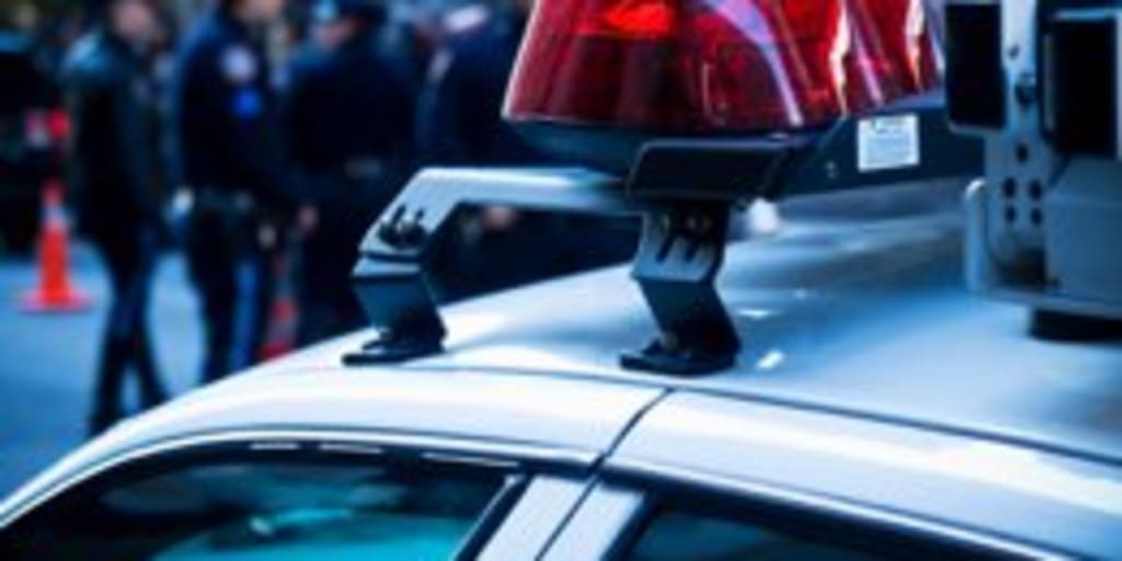 Best Criminal Justice Schools In Louisiana