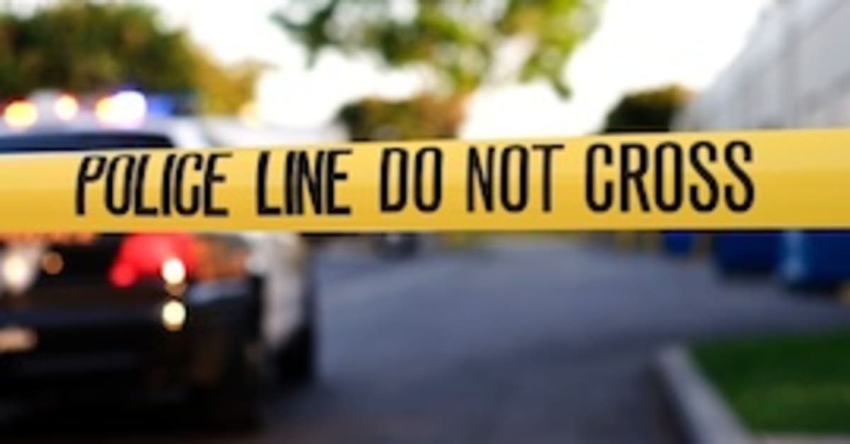 10 Jobs You Can Get With A Master S In Criminal Justice Degree