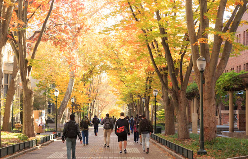 College students walking on campus under trees in autumn