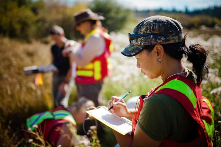 Earning an Online Environmental Science Bachelors Degree