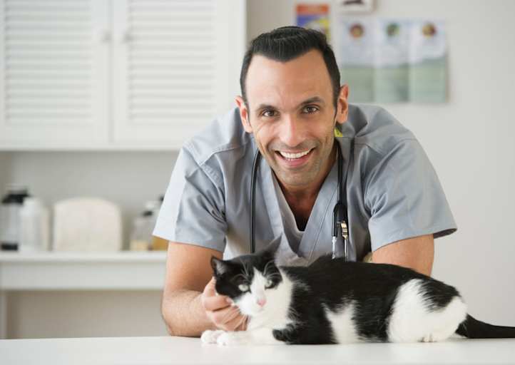 Online Veterinary Tech Schools