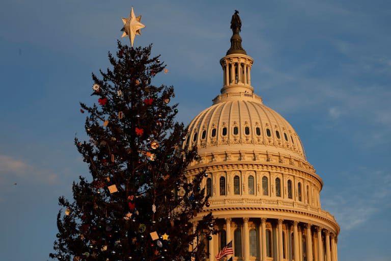 WASHINGTON, DC - NOVEMBER 29: U.S. Capitol Christmas Tree stands on the West Lawn ahead of its lighting ceremony on November 29, 2022 in Washington, DC. The 79-foot-tall red spruce, nickname "Ruby," was cut from the Pisgah National Forest near Lake Toxaway, North Carolina, and is decorated with 12,000 ornaments from 125 communities in 13 different states across the country. (Photo by Chip Somodevilla/Getty Images)