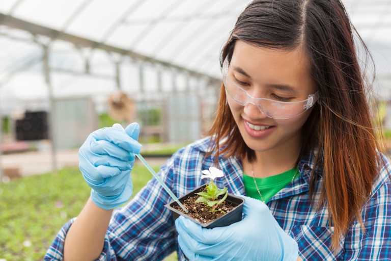 8 Reasons to Study in Texas