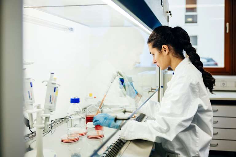 Best Doctorate in Chemical Engineering Programs
