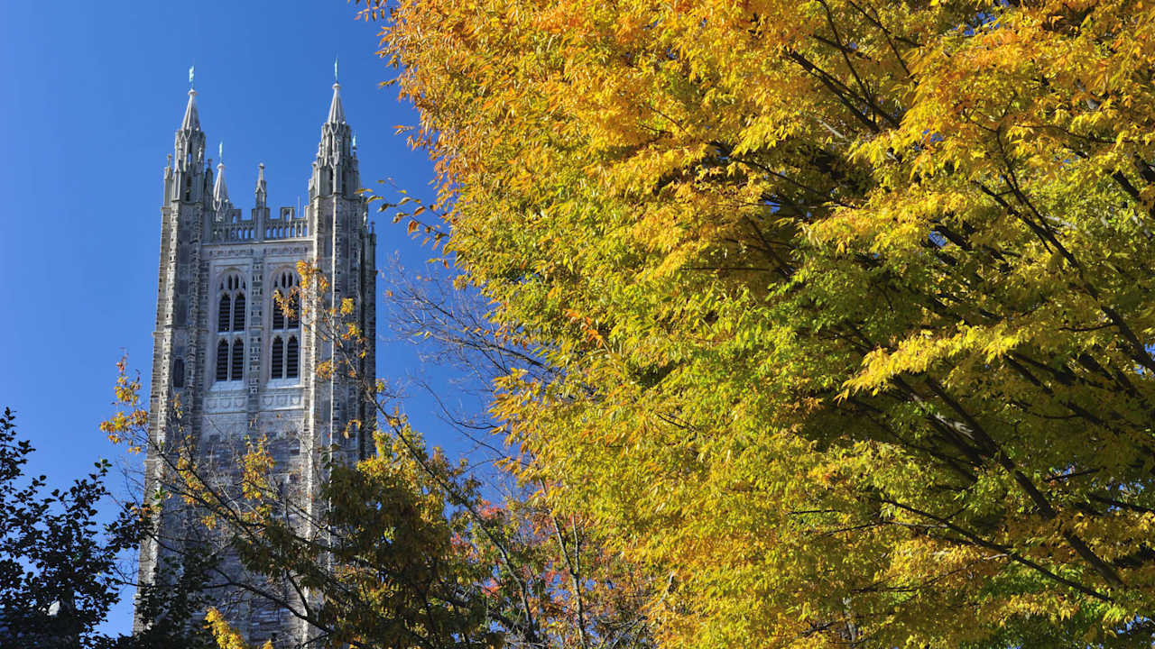 "Princeton, New Jersey, USA - November 5, 2011. Tower of Madison Hall in Princeton University. Princeton University is located in the college town of Princeton in New Jersey, USA. It is one of the top ranking ivy league universities in the United States, offering undergraduate and graduate degrees in various majors."