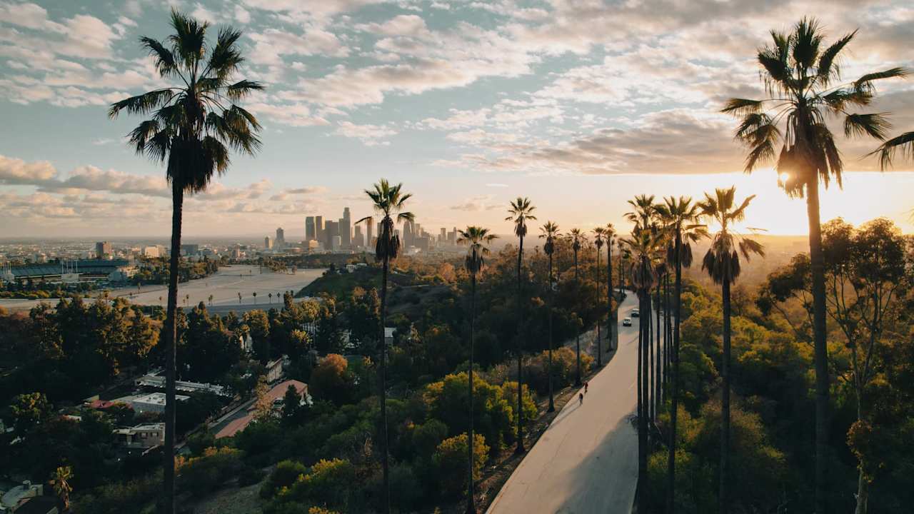 Los Angeles skyline at sunset with palm trees in foreground