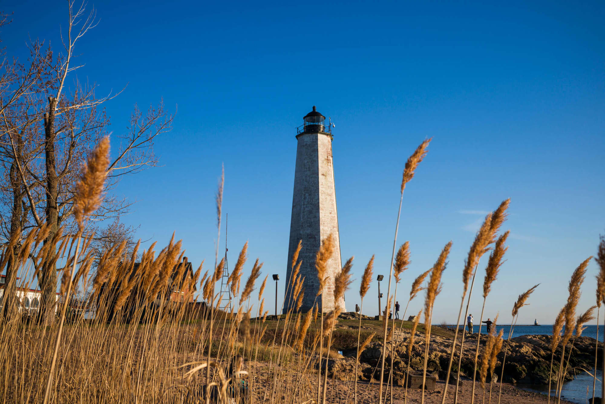 Become a Nurse in Connecticut: Requirements & Licensing