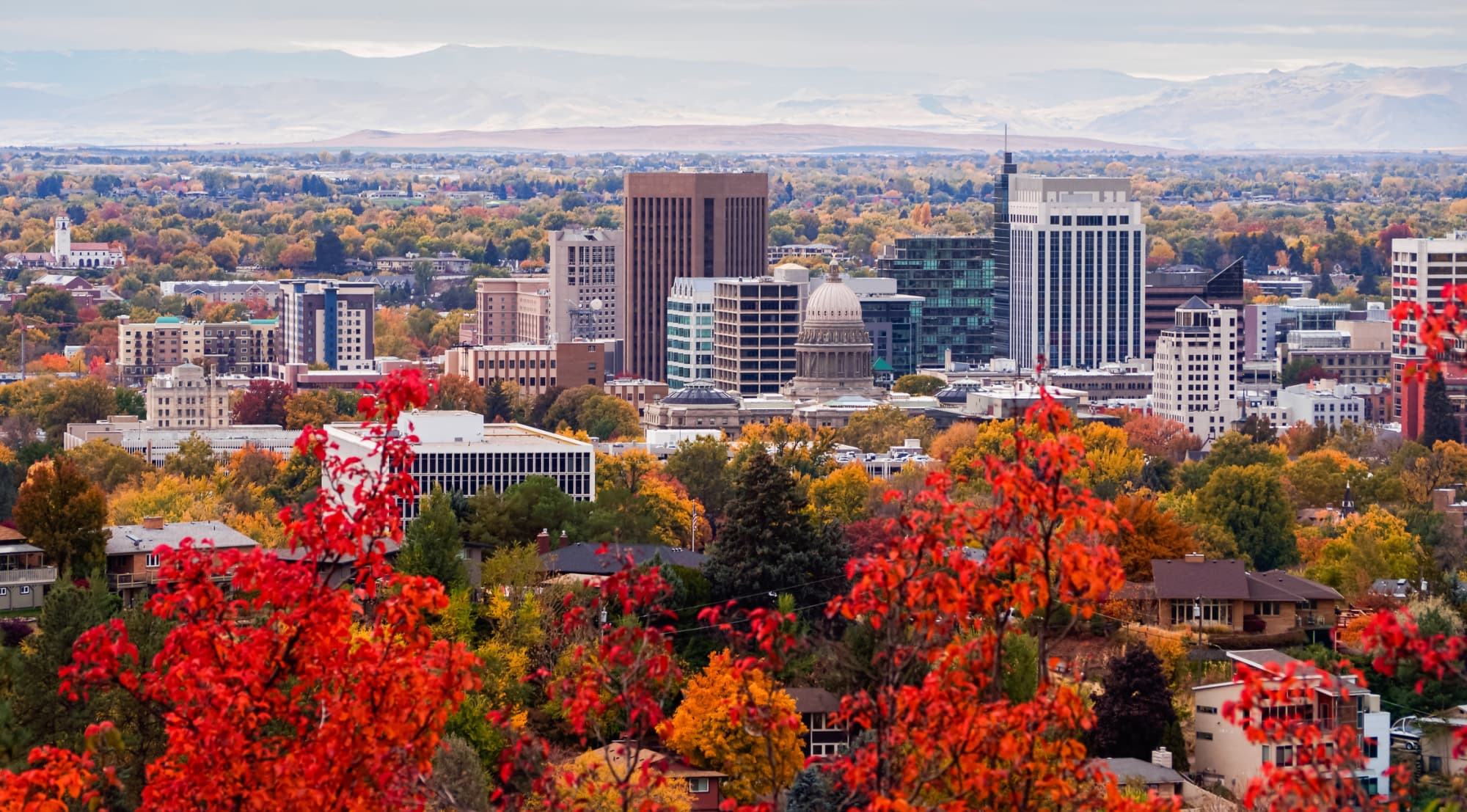 The Top Nursing Schools in Idaho