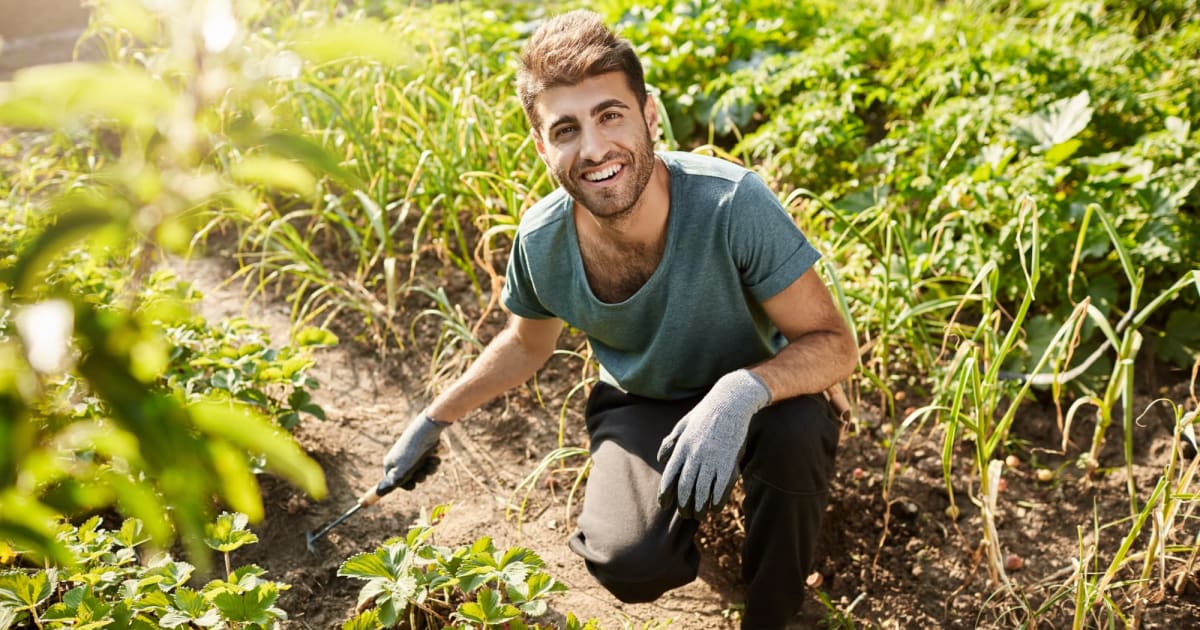 Best Online Bachelor's in Horticulture Programs | BestColleges