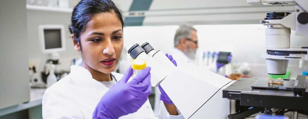 Woman Scientist Working in The Laboratory