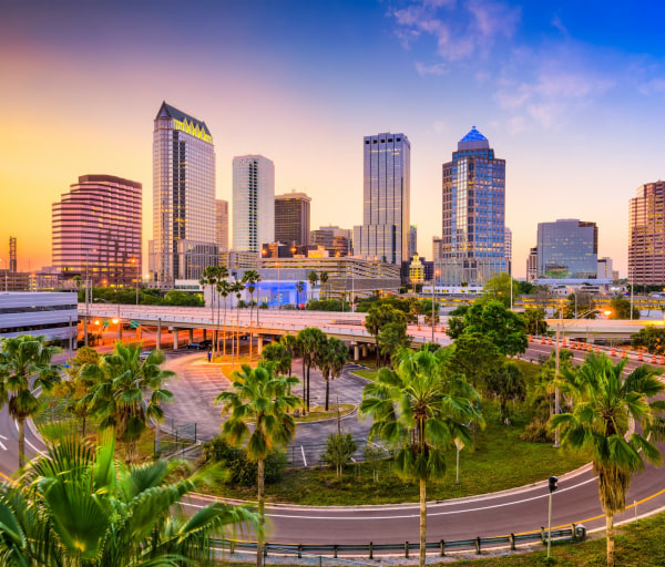 The Best Online Colleges in Florida