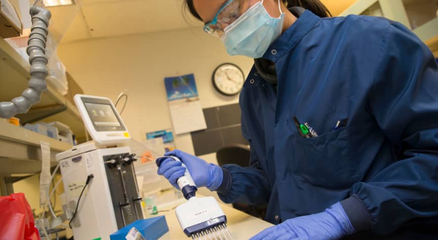 How Universities Are Helping in the Fight Against COVID-19