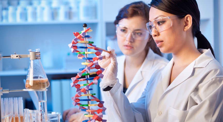 Should You Major in Biology?