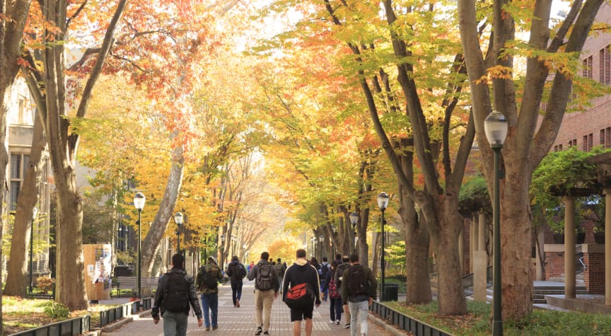 Applications Surge at Selective U.S. Colleges