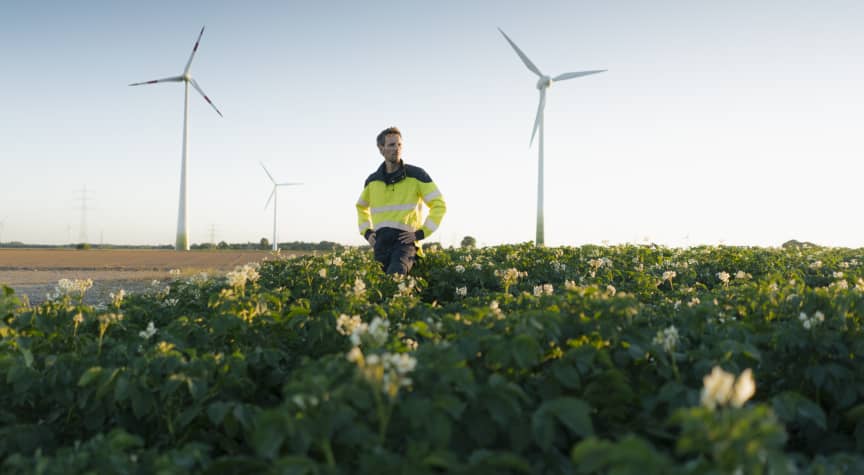How to Start a Career in Sustainability