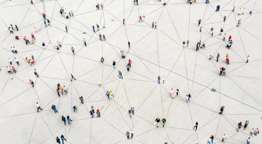 What Are the Social Sciences?