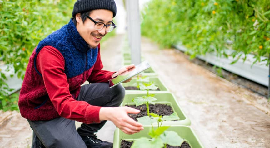 Today’s In-Demand Green Jobs