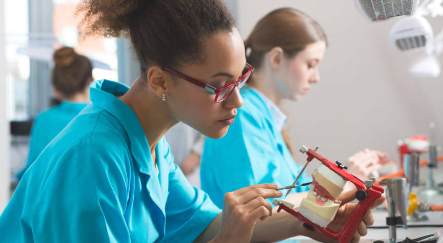 Associate vs. Bachelor’s Degree in Dental Hygiene