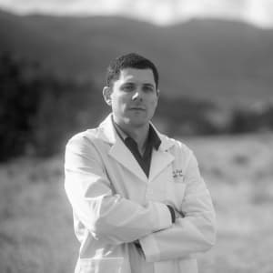 Portrait of Dr. Daniel Paull, MD