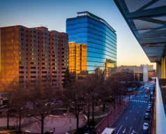 Delaware card picture