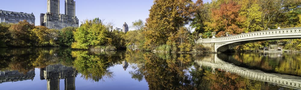 Fall landscape photograph of New York