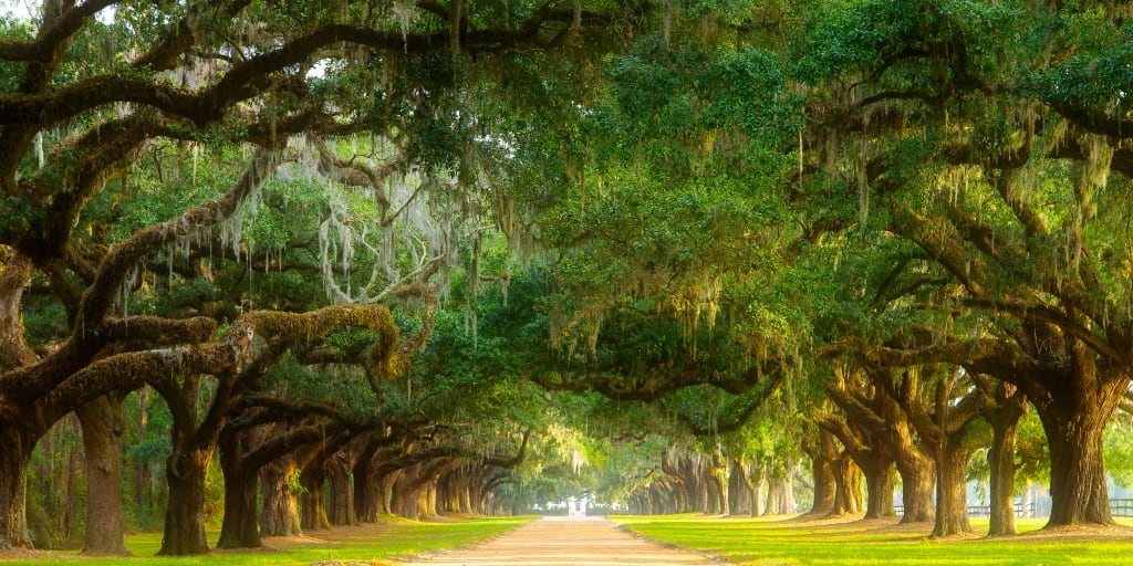 Best Colleges In South Carolina 2020 Bestcolleges