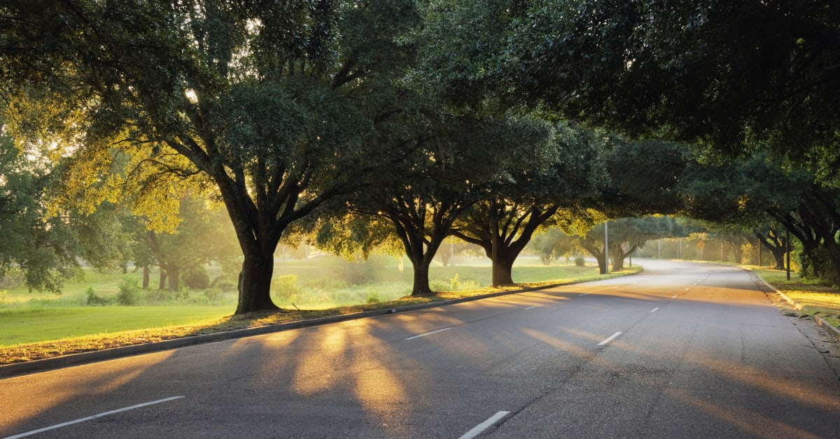 Best Online Colleges In Mississippi 2020 Bestcolleges