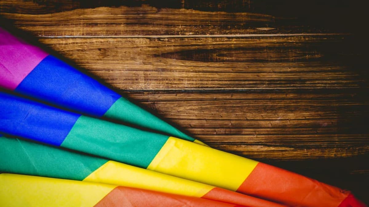 Gay horny cock College guide for gays