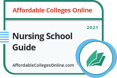 The Insider S Guide To Nursing School Affordable Colleges Online
