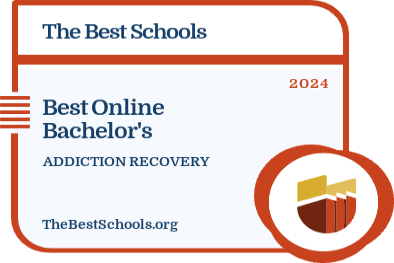 Best Online Bachelor's