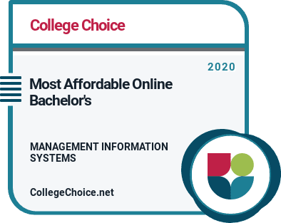 10 Most Affordable Online Management Information Systems Degrees