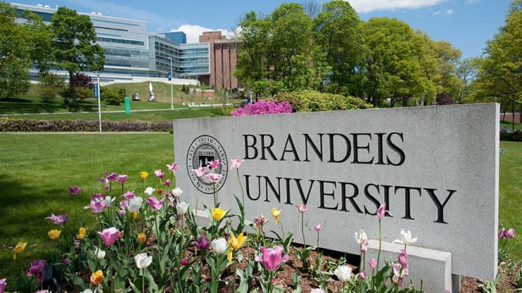 Brandeis University Tuition >> Massachusetts Education Thebestschools Org Brandeis University Tuition >> Massachusetts Education Thebestschools Org