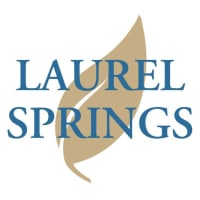 Image of Laurel Springs Online High School logo