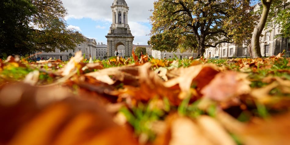 Colleges and students want campuses to reopen, but the threat of a coronavirus resurgence means changing the school year and keeping some education online.