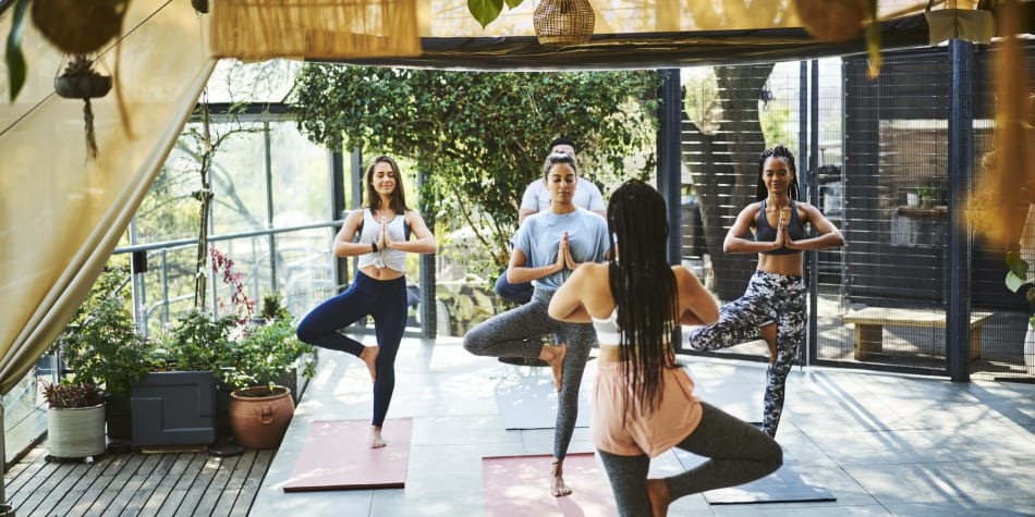 How To Get A Yoga Studies Degree Bestcolleges