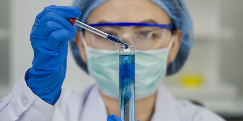 Biotechnology uses biology and technology to solve problems and create products. Learn what a biotechnology major entails — and whether it's right for you.