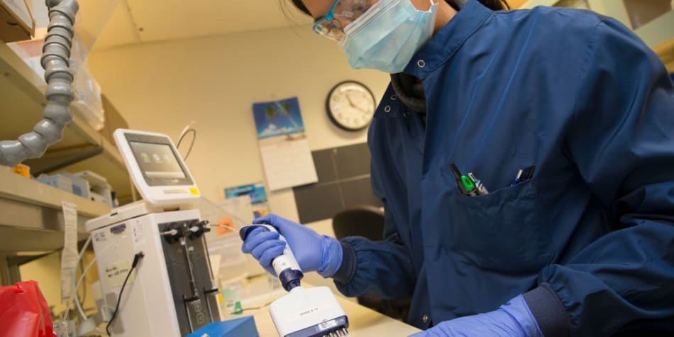 Since the start of the pandemic, colleges around the U.S. have rigorously conducted COVID-19 research to aid in the fight against the illness.