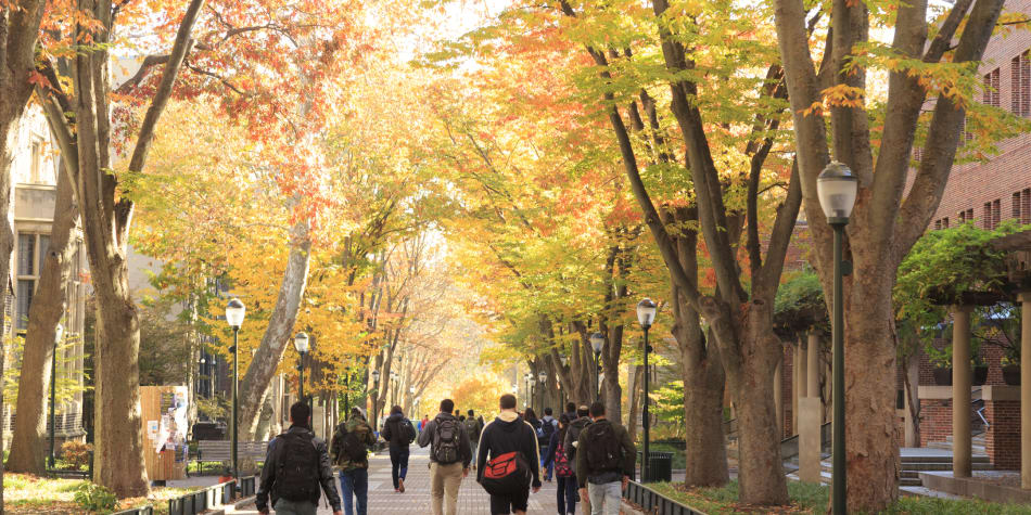 As schools adopted test-optional policies, selective colleges experienced an unprecedented climb in first-year applications, thereby lowering fall admission rates.