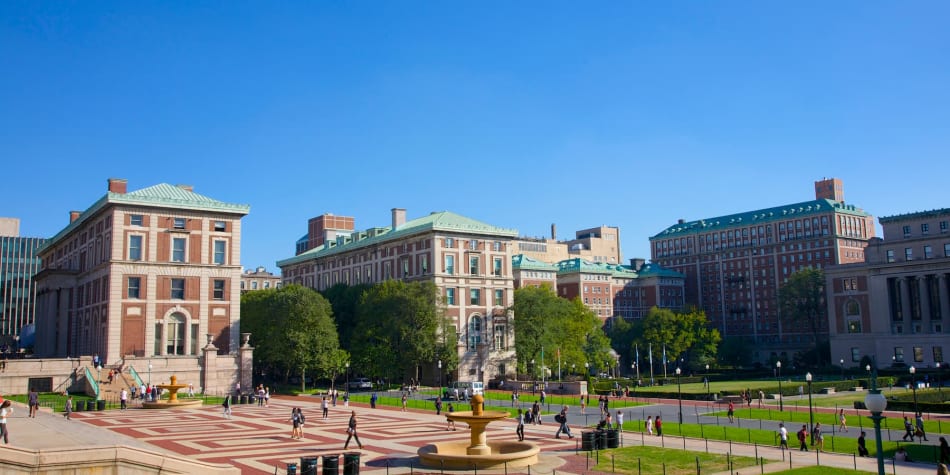 Learn about the different types of colleges and universities in the United States and how their numbers break down across the country.